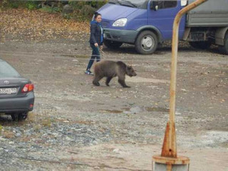 wtf-russia-pics-16