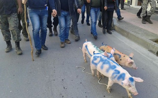 ΓΟΥΡΟΥΝΙΑ