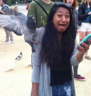 perfectly-timed-photos-17