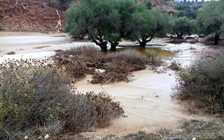 ΛΑΚΩΝΙΑ ΚΑΤΑΣΤΡΟΦΕΣ ΠΛΗΜΜΥΡΕΣ