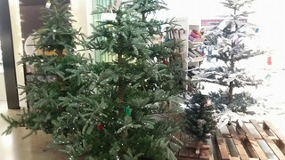 xmas4