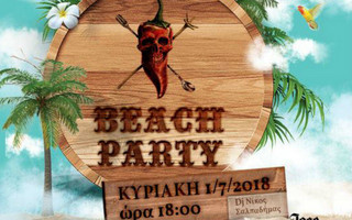 beach party_ok