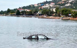 Έπεσε αυτοκίνητο στη θάλασσα στο Θεολόγο Φθιώτιδας