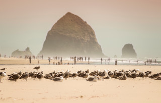 Cannon Beach