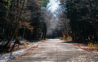 Aokigahara Fuji