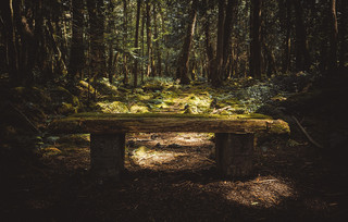 Aokigahara Fuji