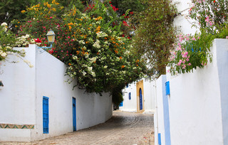 Sidi Bou Said Τυνησία