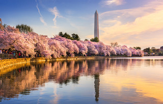 Washington Monument