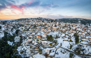 Λαύκος Πήλιο