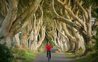 The Dark Hedges Βόρεια Ιρλανδία